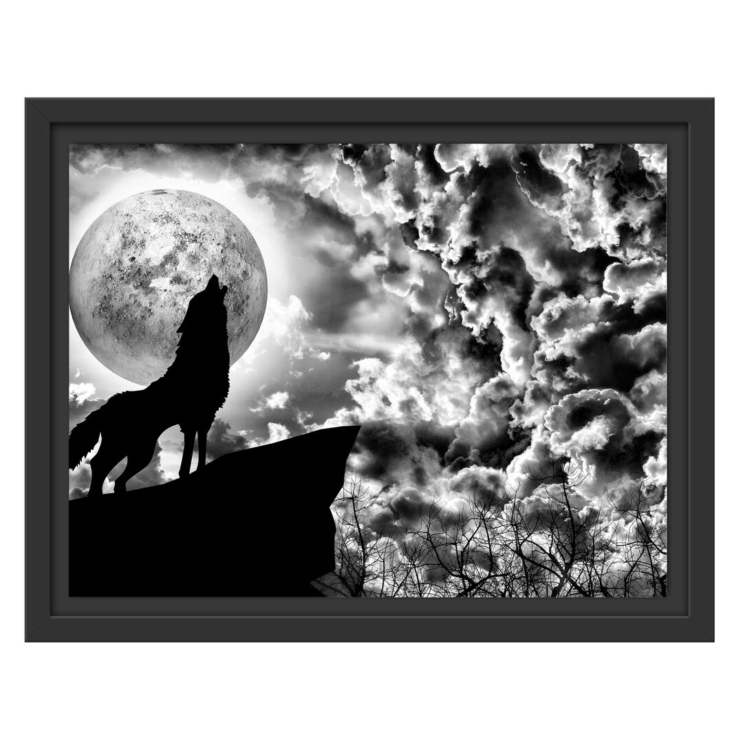 Gerahmtes Wandbild Wolf heult den Mond an