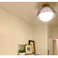Bacco Single Light Flush Mount