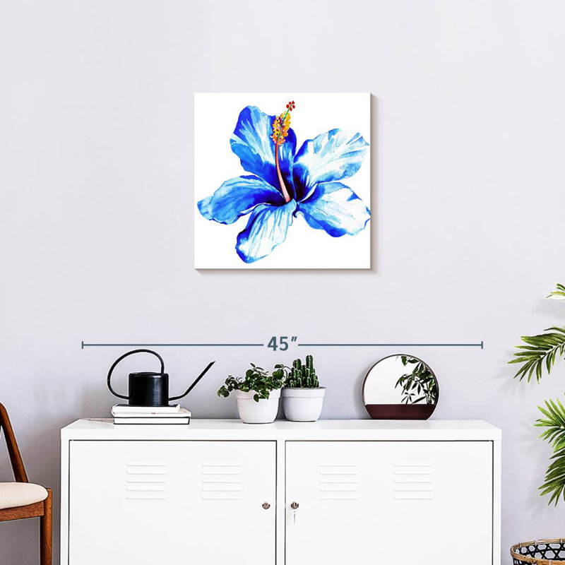 Hibiscus bleu vibrant Harnek, H 20 po x l 20 po