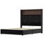 Luxurious Velvet Bed With Storage Shelf And Usb Port, Modern Black Design