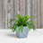 Alaunah Pot Planter-856830633-840690747