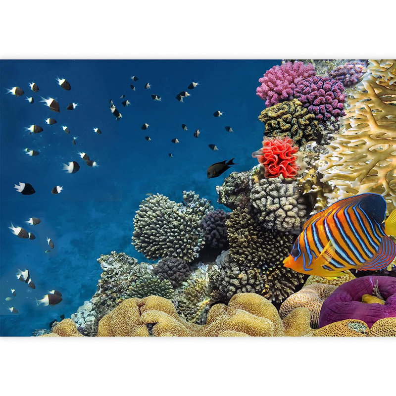 Vibrant Coral Ocean Sea Fish Seascape, 100" L x 144" W