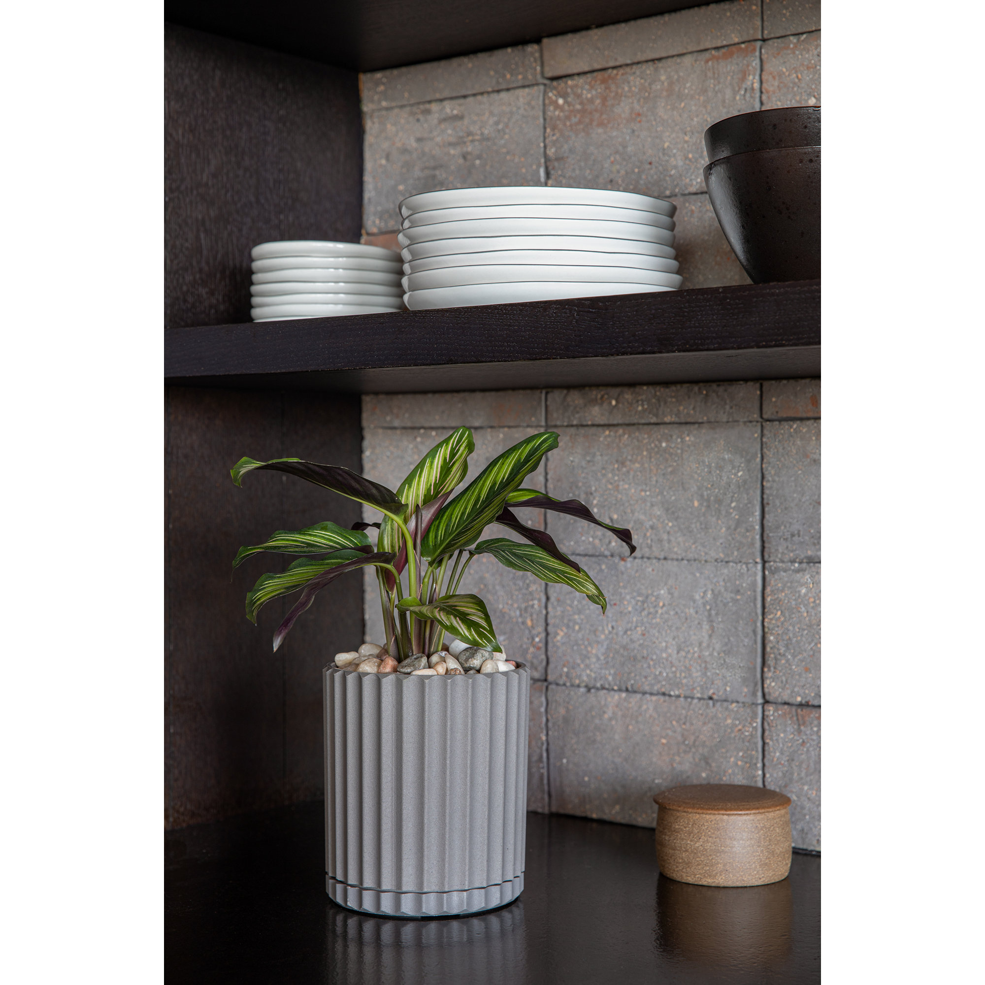 Veradek Demi Series 6" Planter, Gray, 1