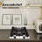 11.6'' Gas Cooktop with 2 Burner