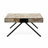 27.5'' W Solid Mango Wood and Iron Rectangular Coffee Table with V-Shaped Legs