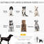 Poussette pliable pour chien de taille moyenne et grande - Confortable, pliable gris, antichoc, filet, compartiment de rangement
