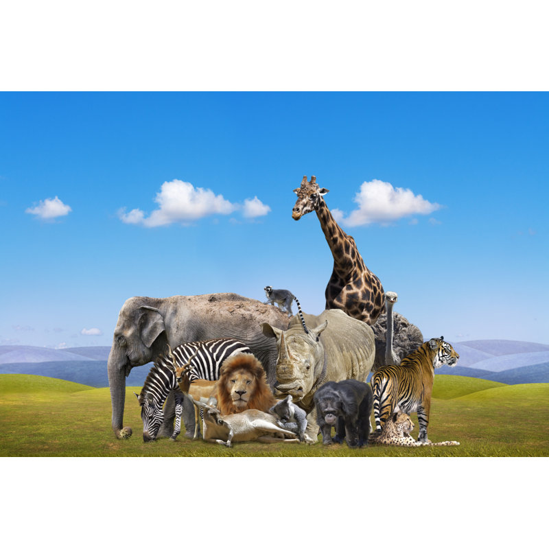 Group Of Wild Safari Animals On The Grass by Natmint - Wrapped Canvas Print, 30Cm H x 46Cm W