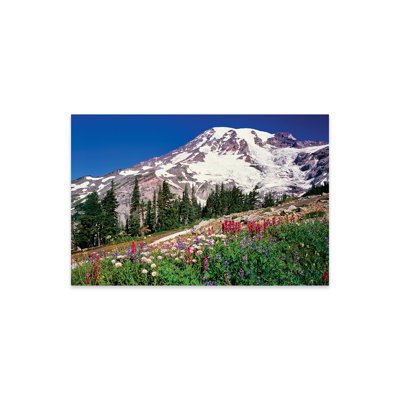 " Summer Wildflowers Bloom In Paradise Park Below Mr. Rainier, Mt. Rainier National Park, Washington, USA " by Panoramic Images