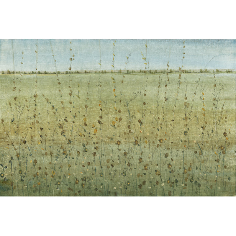 Edge Of The Field I by Tim OToole - Wrapped Canvas Painting, 30cm H x 46cm W x 3.8cm D