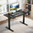 Electric Standing Desk, Adjustable Height Stand Up Desk, Ergonomic Rising Computer Table With Memory Preset, Sit Stand Up Desktop For Home Office