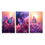 Pink Butterfly Wonderful Sunset III - Animals Butterfly Art Set Of 3 Pieces-1140958555-1140958559