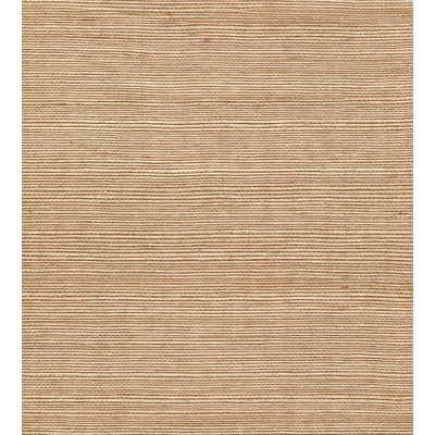 Rouleau de papier peint en sisal biologique