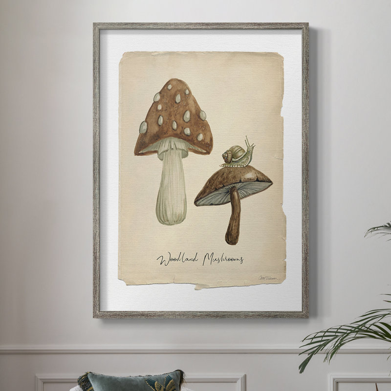 Champignons des bois, reproduction encadrée - bois massif, H 11 po x l 9 po