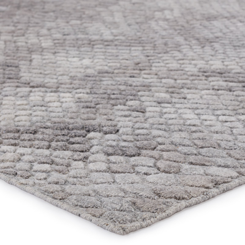 Tapis gris tissé à la main Deondray, Rectangle 5 pi x 8 pi