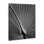 Art mural sur toile Palm Frond par Chip Forelli