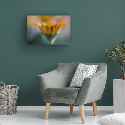 Art sur toile «bolologia silvia spedicato seulement vous»