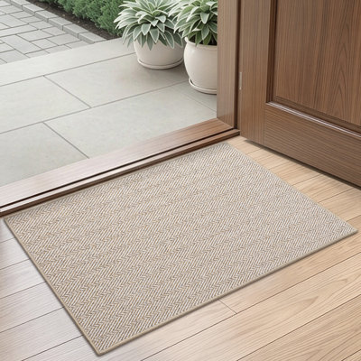Thin Non-Slip Indoor Doormat