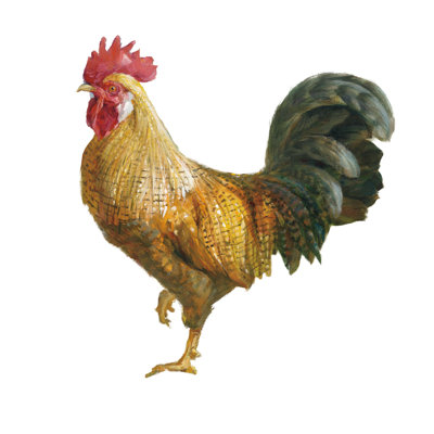 Noble Rooster II par Danhui Nai - peinture sur toile tendue