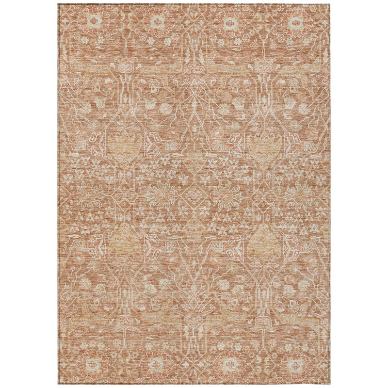 Machine Washable Indoor/Outdoor Chantille ACN1133 Coral Rug, Rectangle 8' x 10'