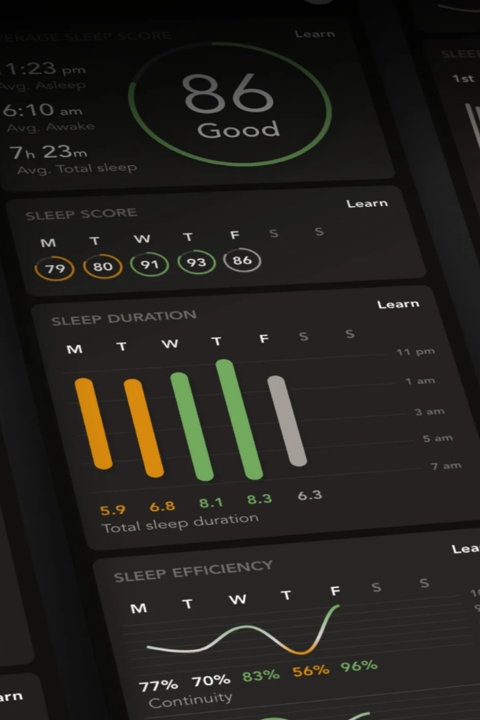 Sleep Insights