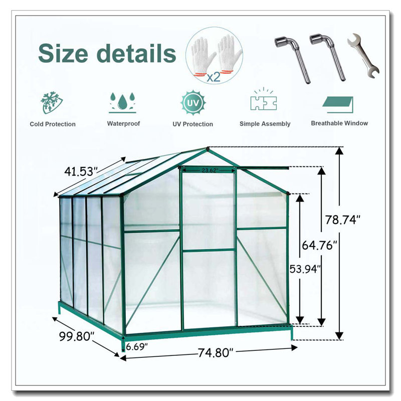 Serre en polycarbonate, serre de jardin robuste 6 pi x 8 pi pour jardin / extérieur