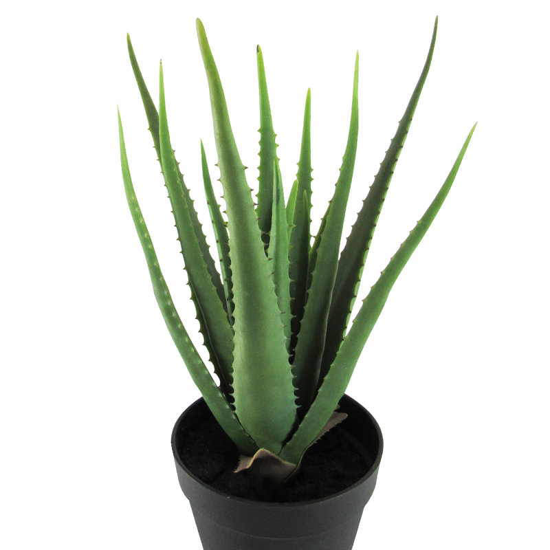 Faux Succulent Plant in Pot, 19" H x 14.5" W x 14.5" D