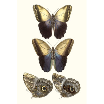 Violet Butterflies III - Graphic Art