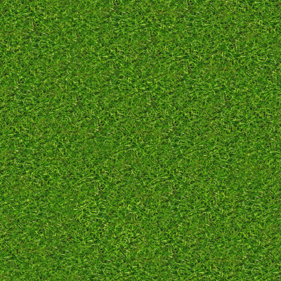 «Grass Texture» par la NSA, archives numériques