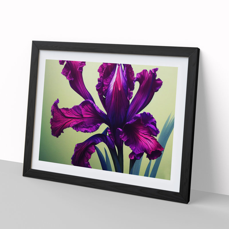 Classic Iris Flowers - Framed Print, Black, 25cm H x 34cm W x 2cm D
