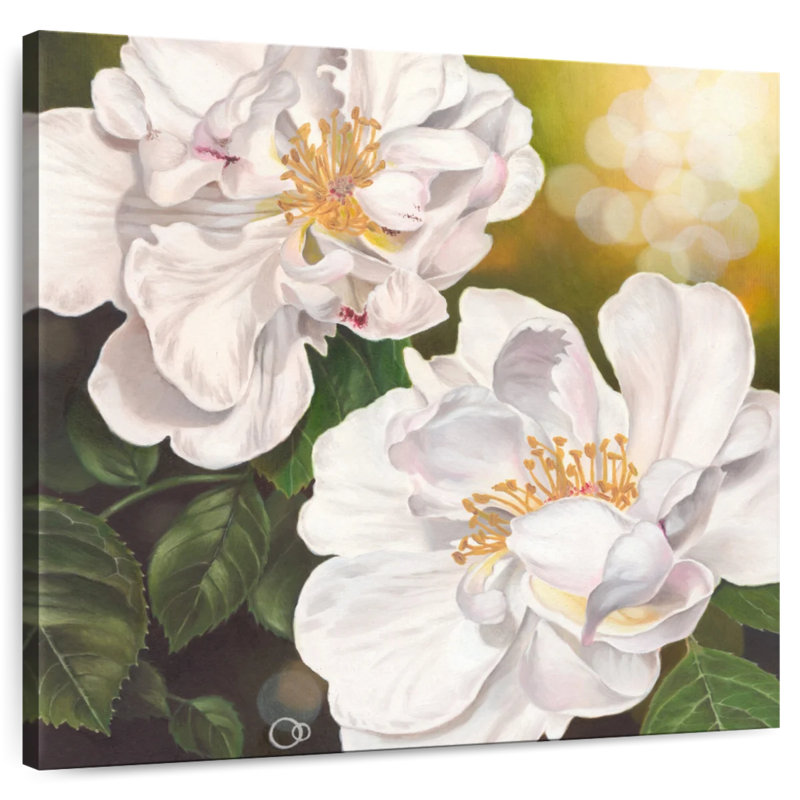 Pureté florale, H 10 po x l 10 po
