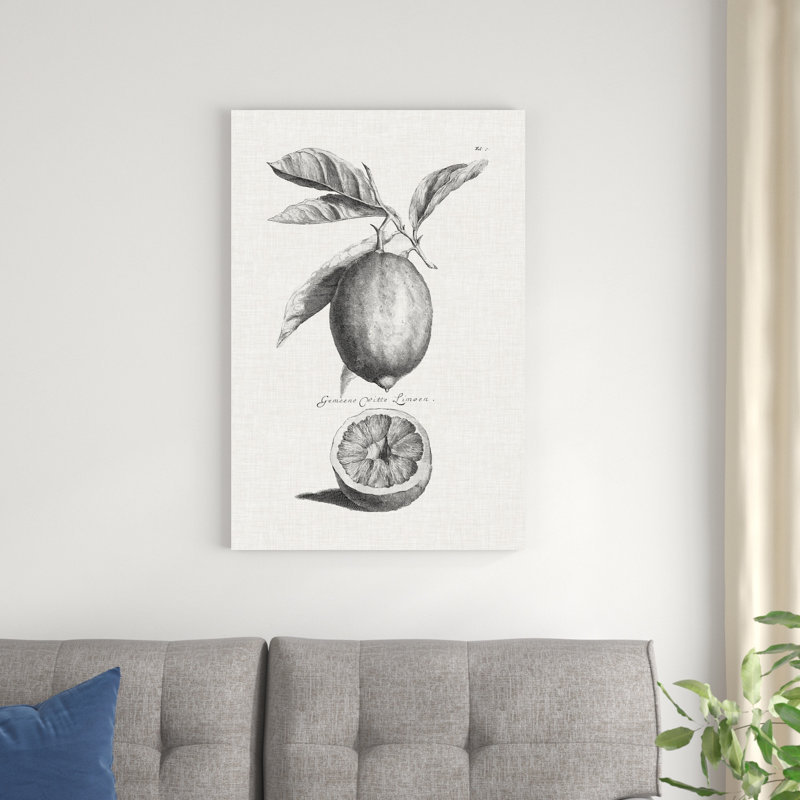 Citrons et oranges antiques I, H 30 po x l 20 po