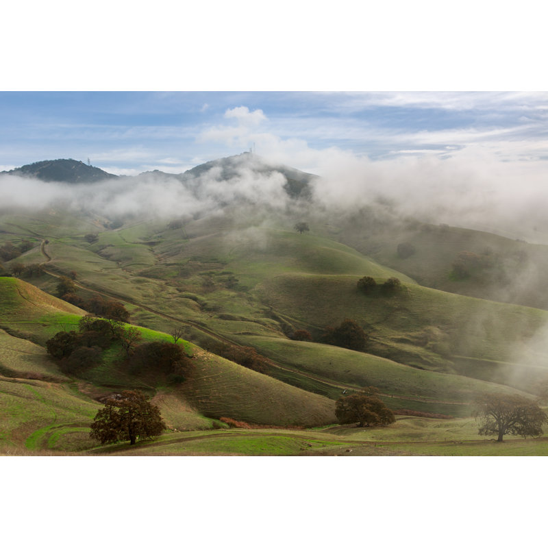 East Bay Hills par Skyhobo, H 24 po x l 36 po