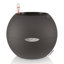 Pot Planter-332018650-393093553