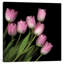 Rose pastel doux, reproduction de photo sur toile tendue-18516170-74406530-74406531