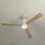 Ventilateur de plafond à intensité variable de 52 po avec lumières et minuterie réversible à moteur à courant continu 6 vitesses pour pièces moyennes Karlena-366832945