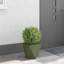 Planter Box-1880811760-1880811659