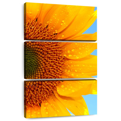 Tournesol Harnek