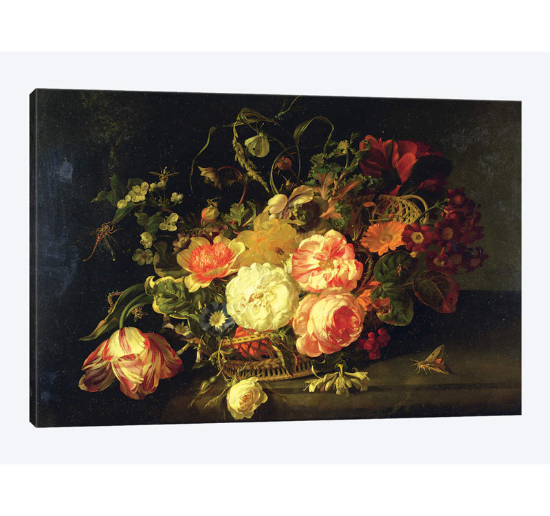 « fleurs et insectes, 1711 », reproduction d’impression sur toile tendue, H 8 po x l 12 po x P 0,75 po, Toile tendue