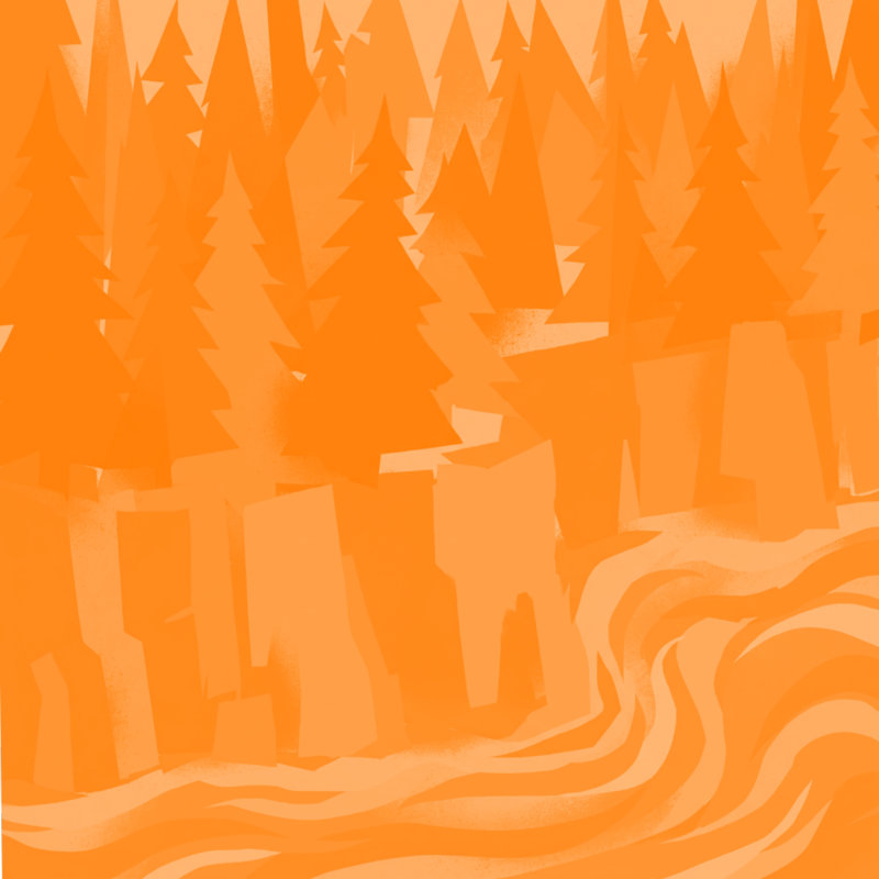 Rideaux de douche Pine River, L 70 po x H 72 po, Orange moyen / orange clair