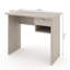 Regin Solid Wood Base Writing Desk-2877690