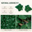 Double-Sided Expandable Faux Hedge Artificial Ivy Privacy Fence Panel with Real Wood Trellis