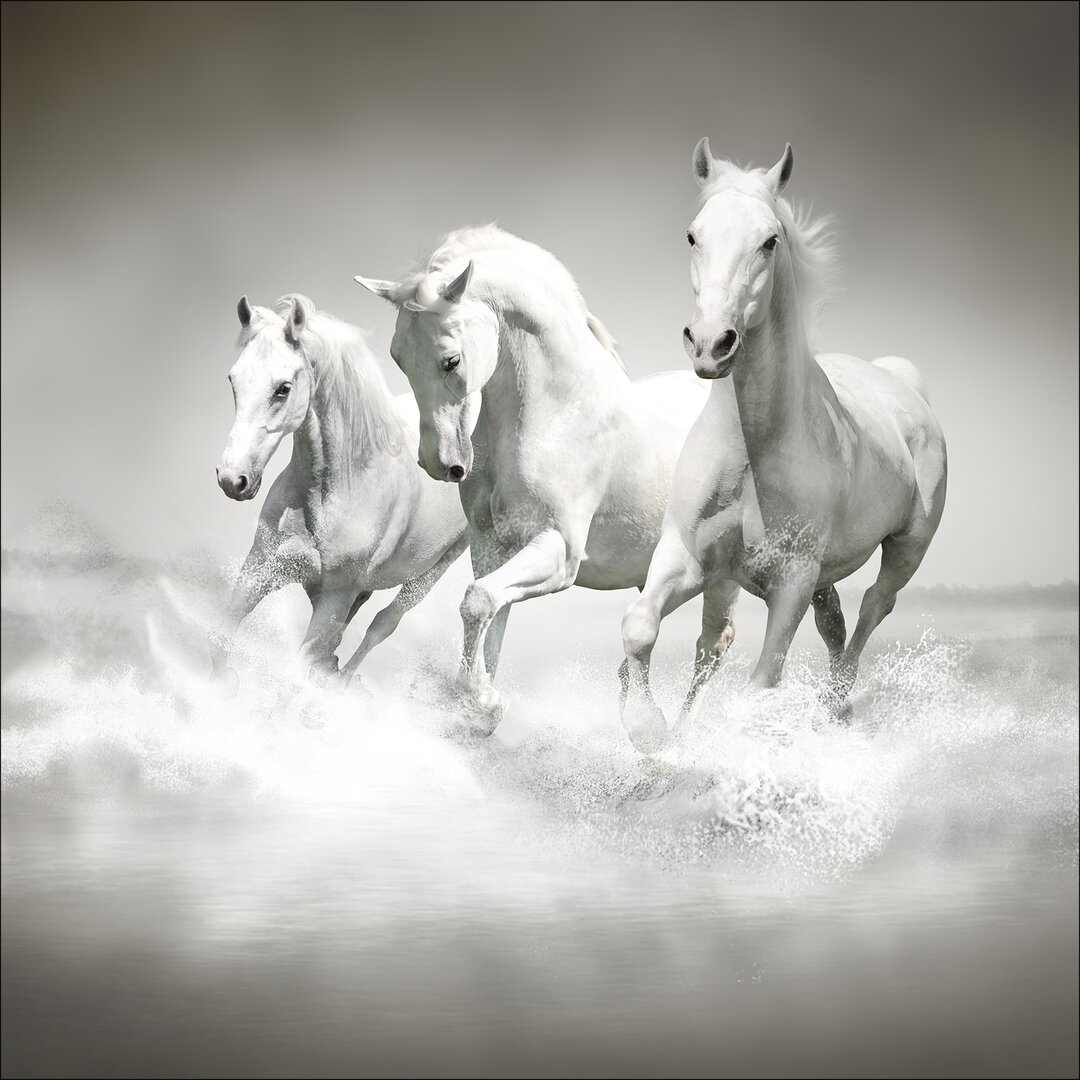 Glasbild White Horses, Kunstdruck