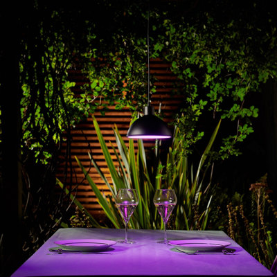 1 - Light Pendant