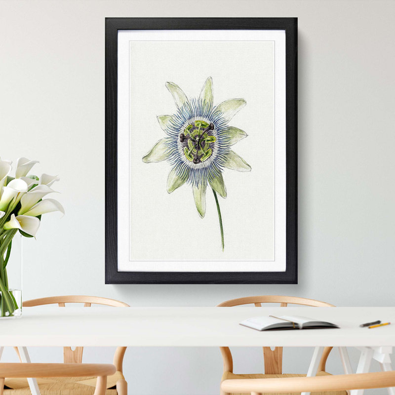 Passion Flower by Jean Bernard - Picture Frame Painting Print, 48cm H x 36cm W x 2cm D, Black Framed