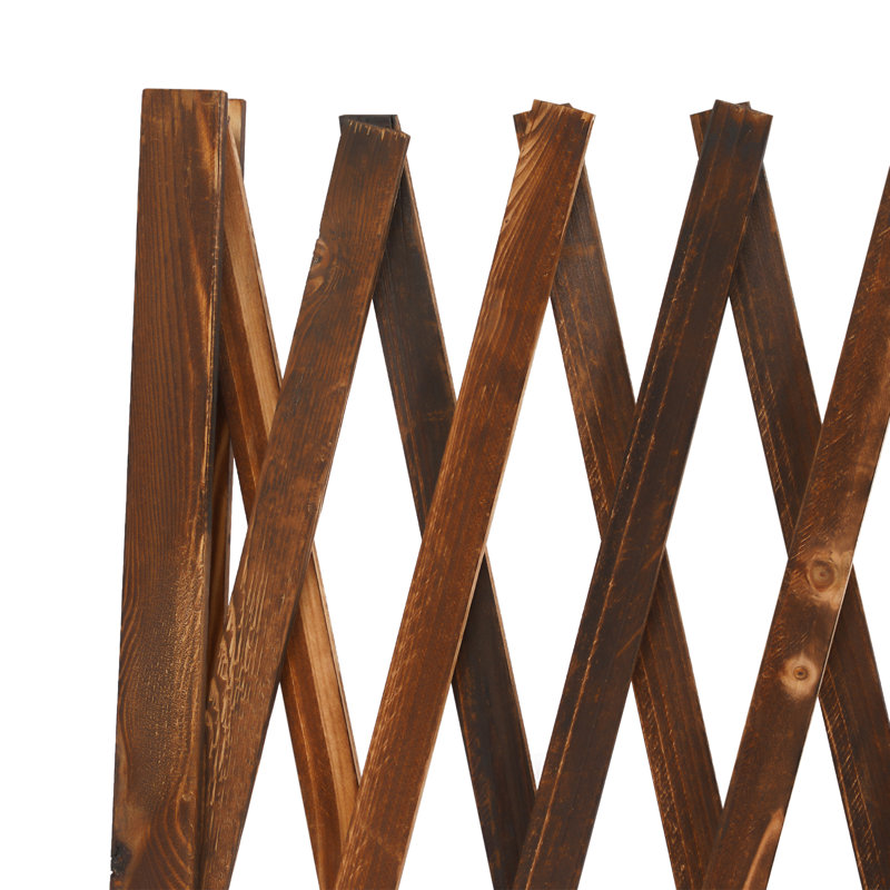 Extendable Instant Fence
