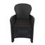 Scobey Garden Chair