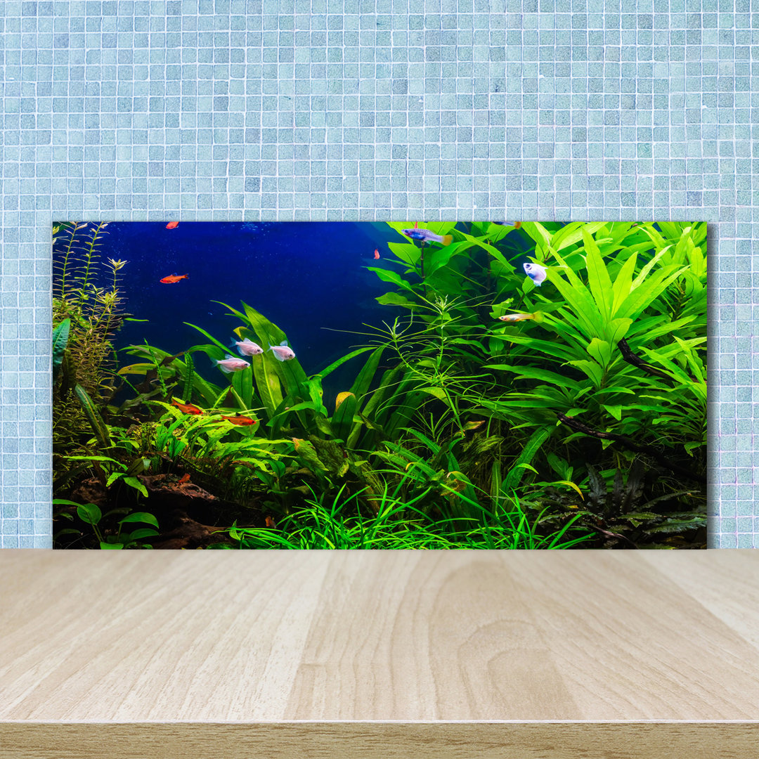 50 cm x 100 cm Glas Spritzschutzpaneel