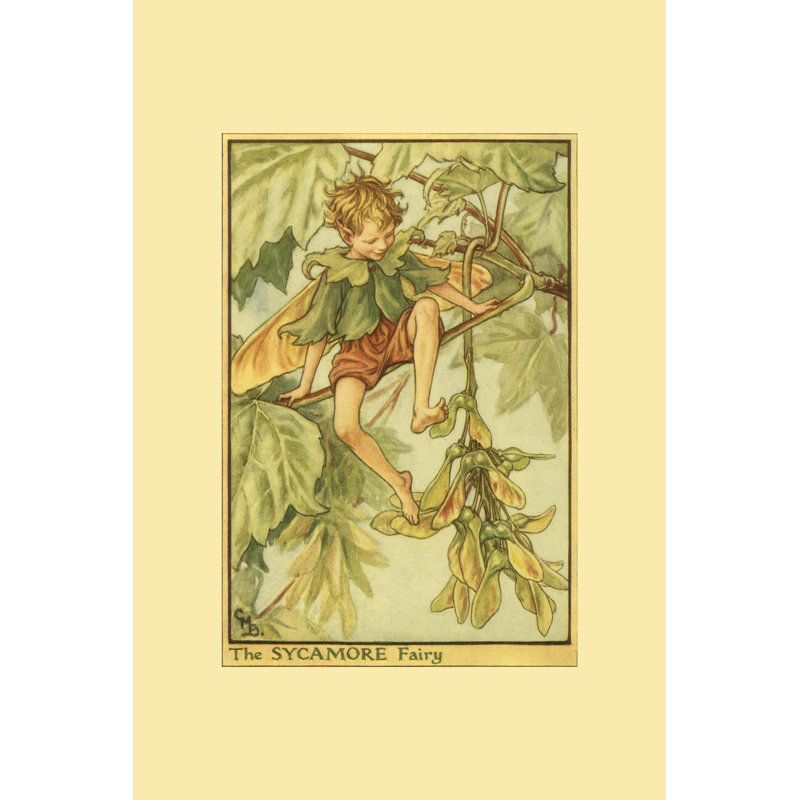 The Sycamore Fairy by Vision Studio - Wrapped Canvas Painting, 46cm H x 30cm W