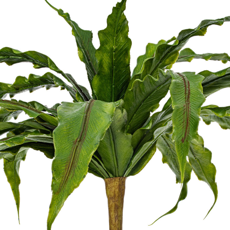Arrangement