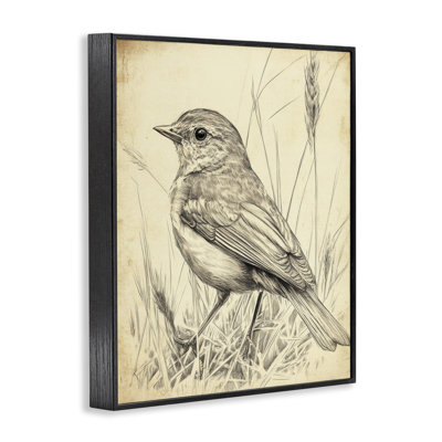Vintage Small Sketched Bird Framed Giclee, design by Petal Prints Design